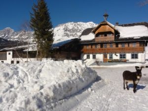 tritscherhof-winter
